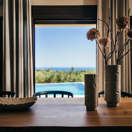 Villa Elithea Exo Khora Экстерьер фото